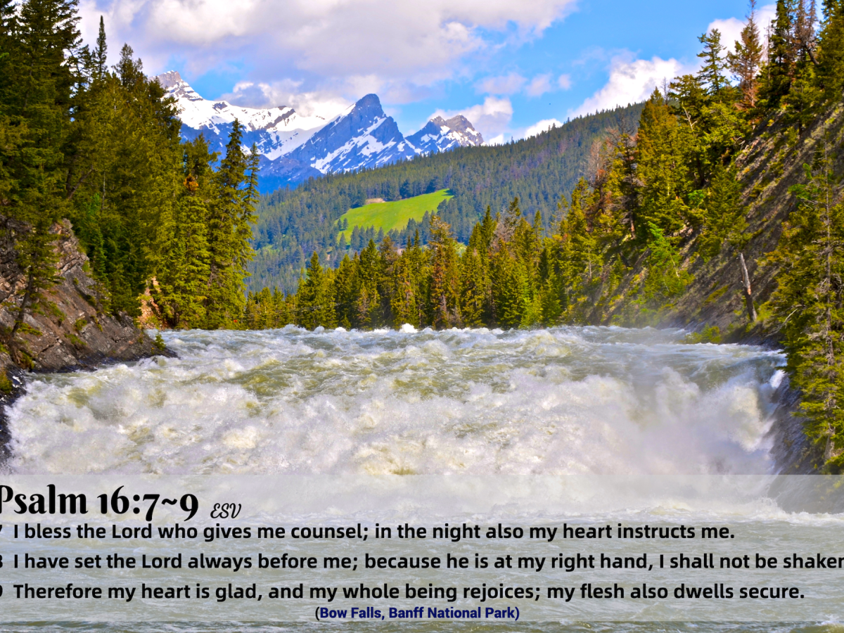 (60) Psalm 16:7~9