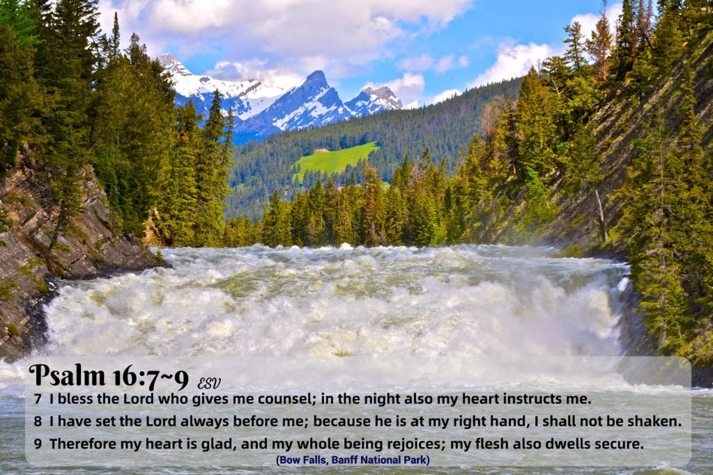 (60) Psalm 16:7~9