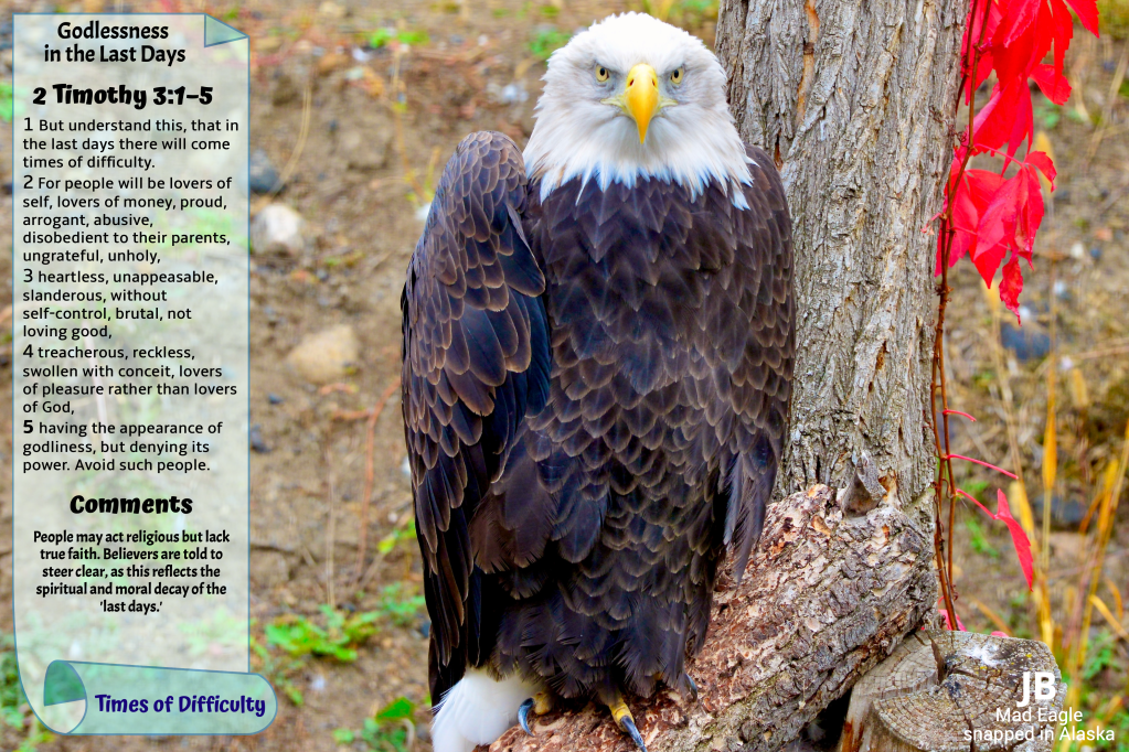 (57)  The Mad&nbsp;Eagle