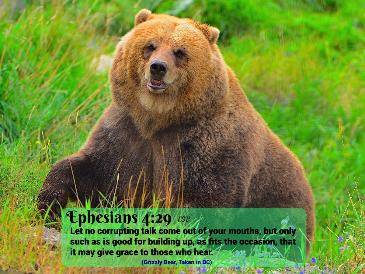 (61) Ephesians 4:29