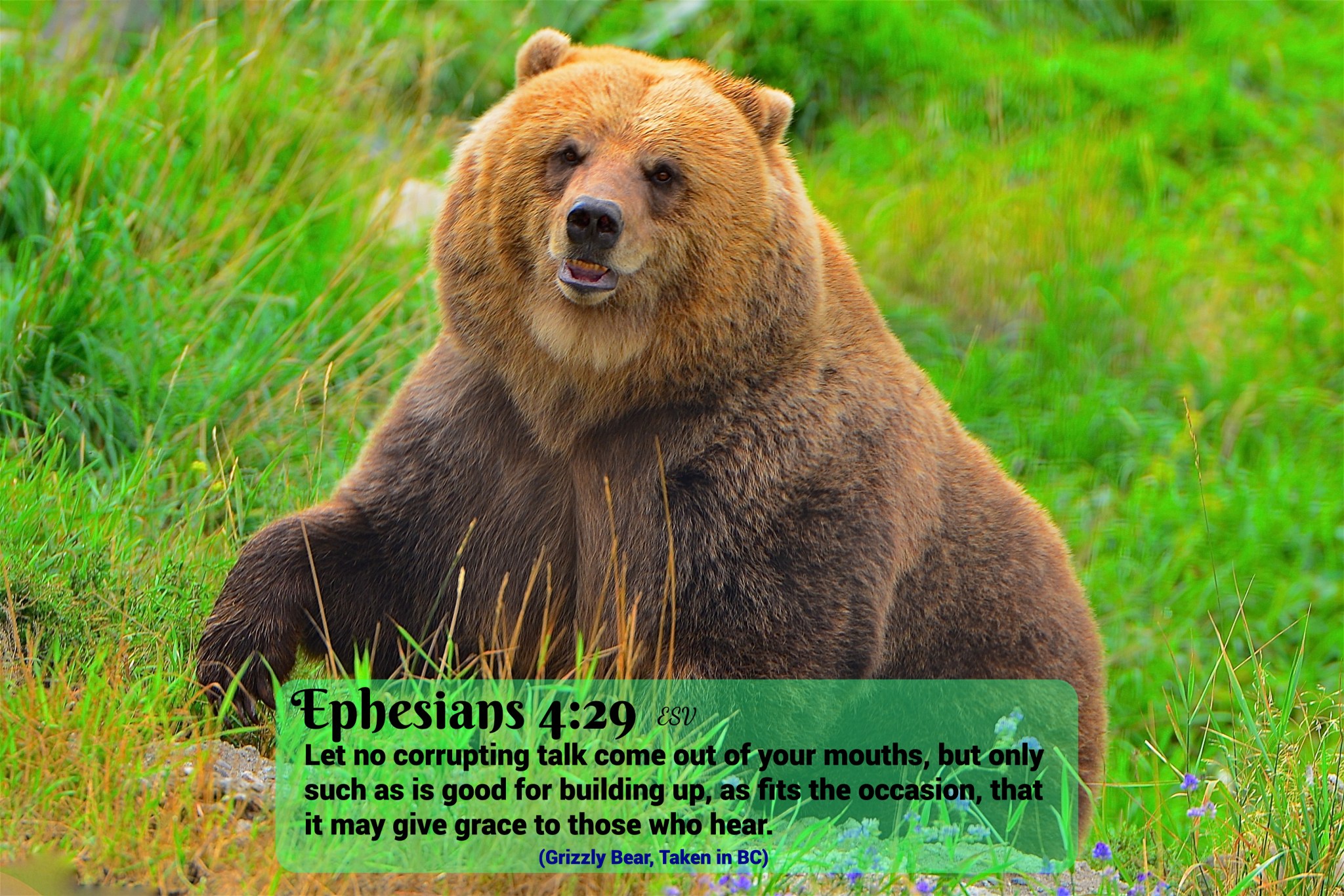 (61) Ephesians 4:29 – Light in truth